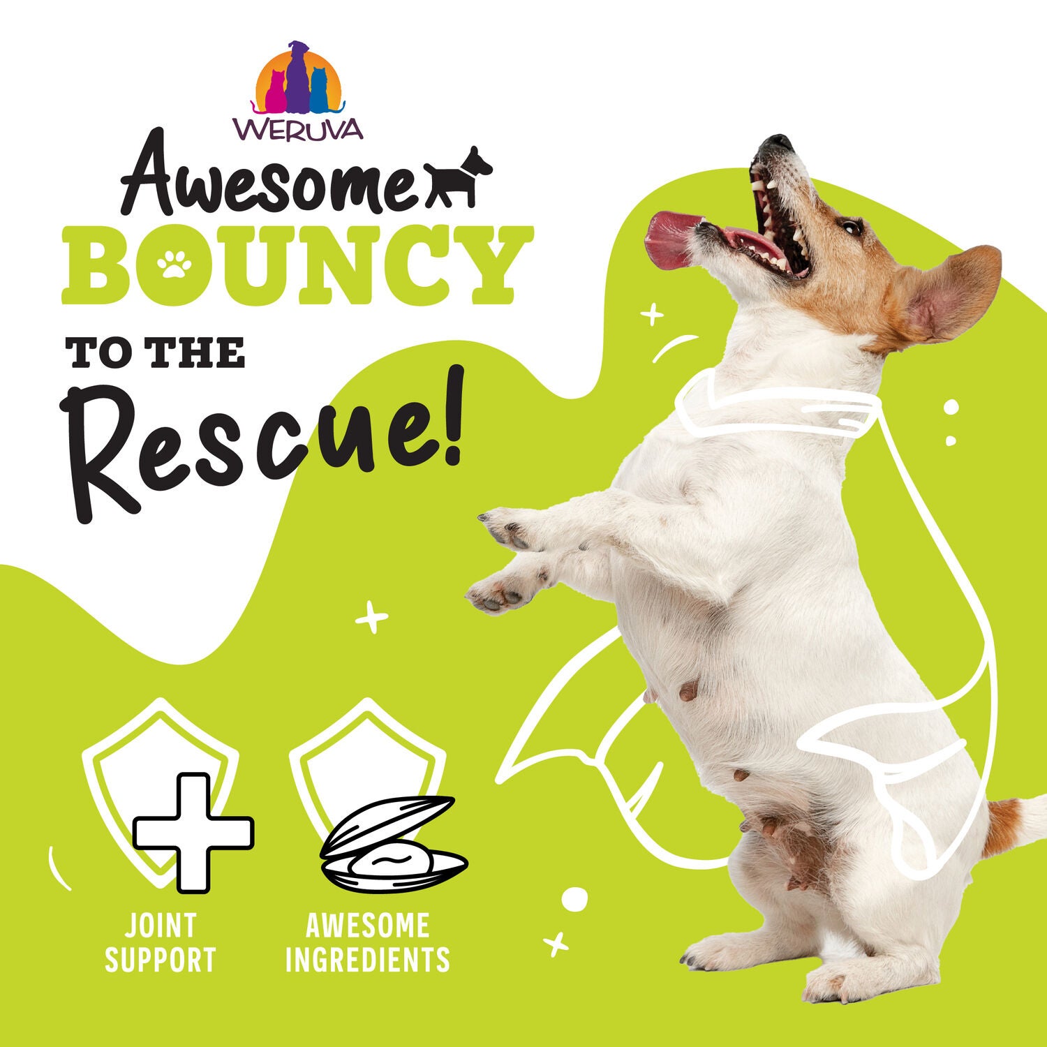 Weruva Awesome Bouncy Beef And Riceberry Recipe With Turmeric And Ginger Wet Dog Food