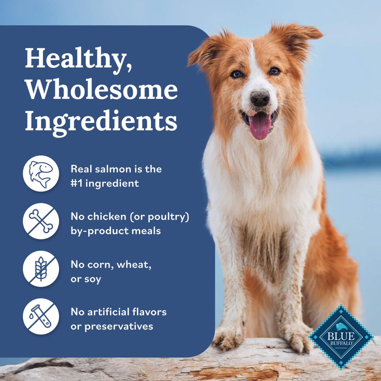 Blue Buffalo Tender Shreds Salmon & Chicken Wet Dog Food Topper In Savory Broth
