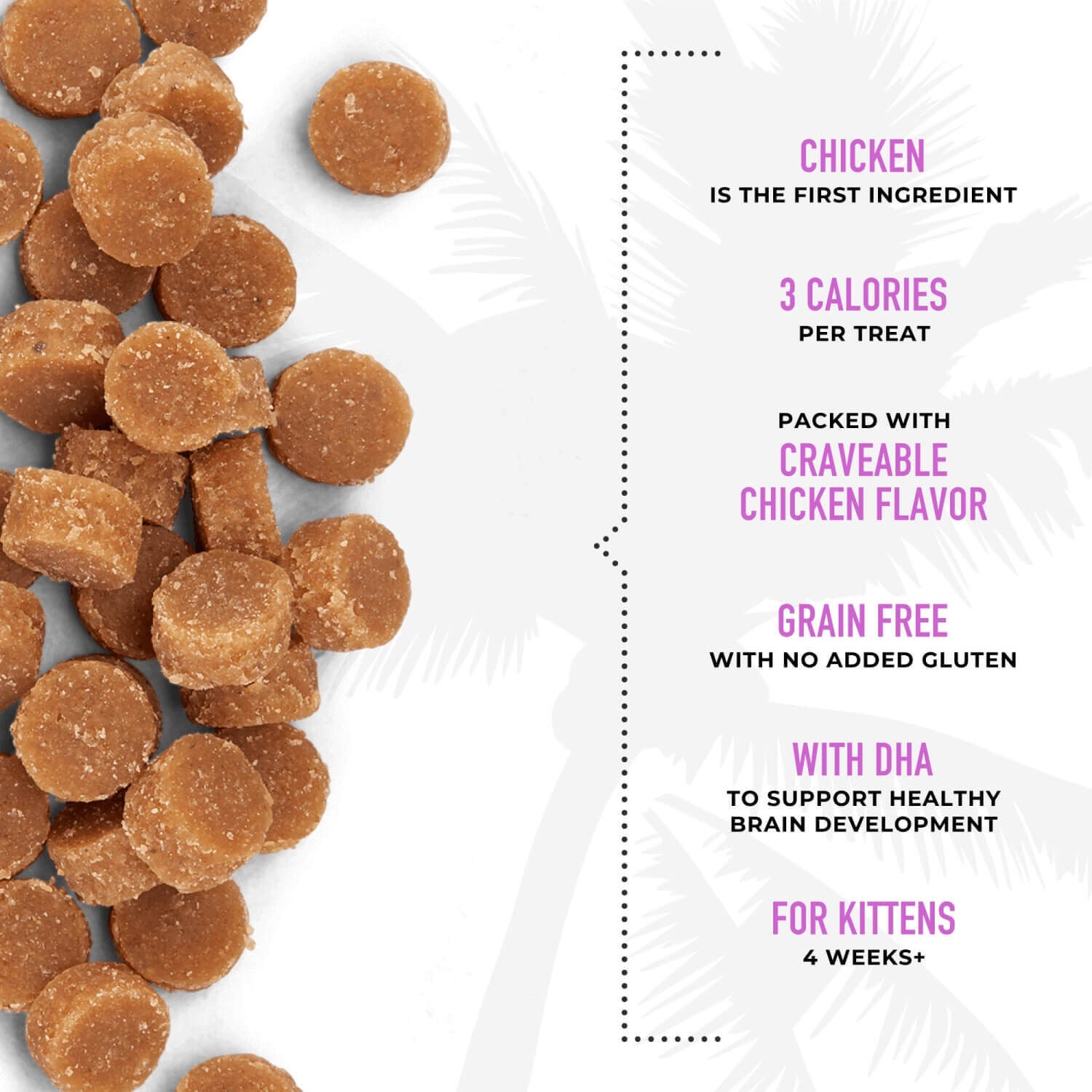 Tiki Cat Baby Soft & Chewy Grain Free Chicken Flavored Cat Treats