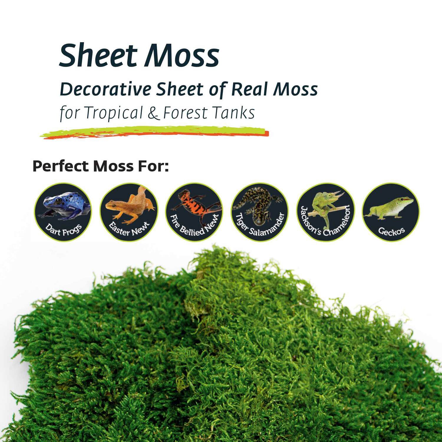 Gal&aacute;pagos Terrarium Moss Substrate, Sheet Moss, 150In 3 Header Bag