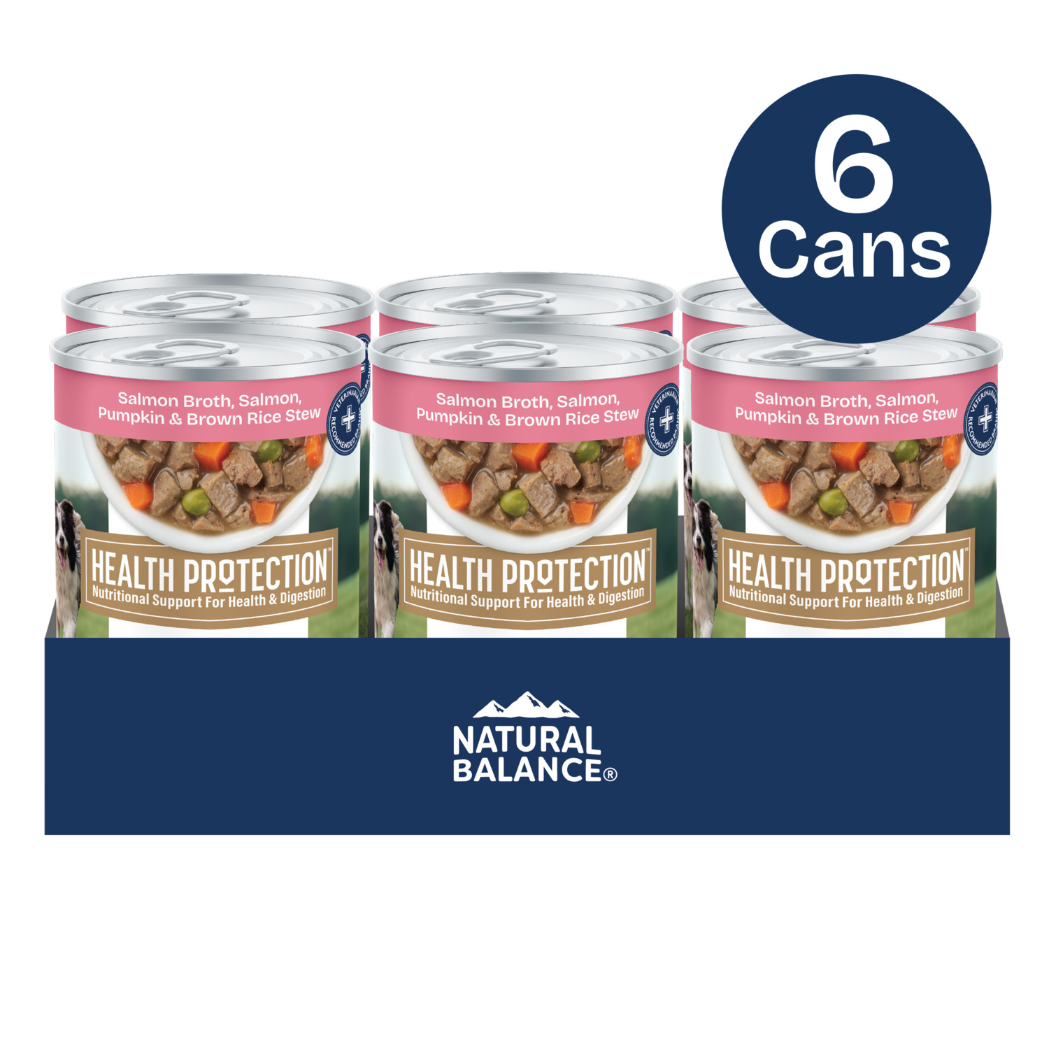Natural Balance Health Protection Wet Dog Food, Salmon Broth, Salmon, Pumpkin & Brown Rice Stew, 12.5 Oz.