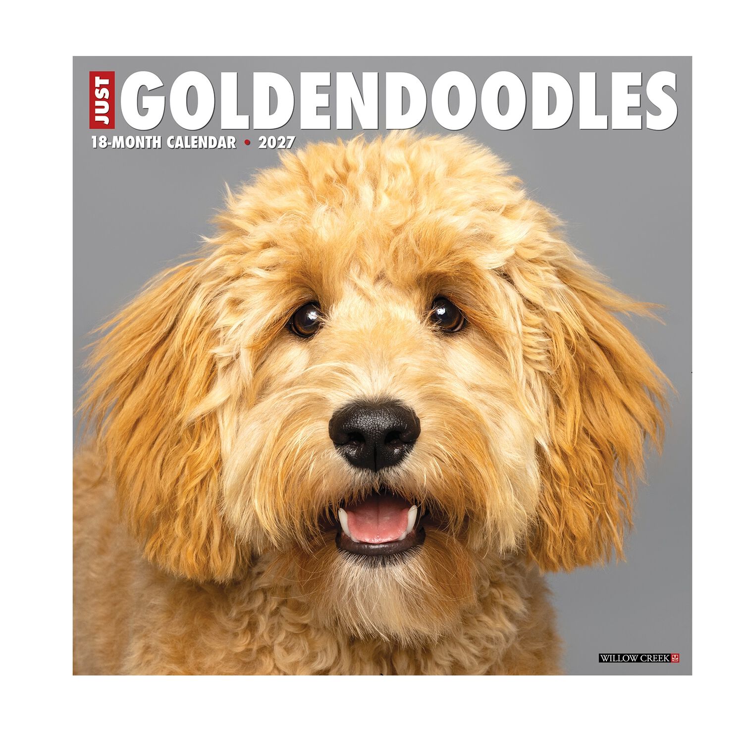 Willow Creek Press Just Goldendoodles 2027 Wall Calendar