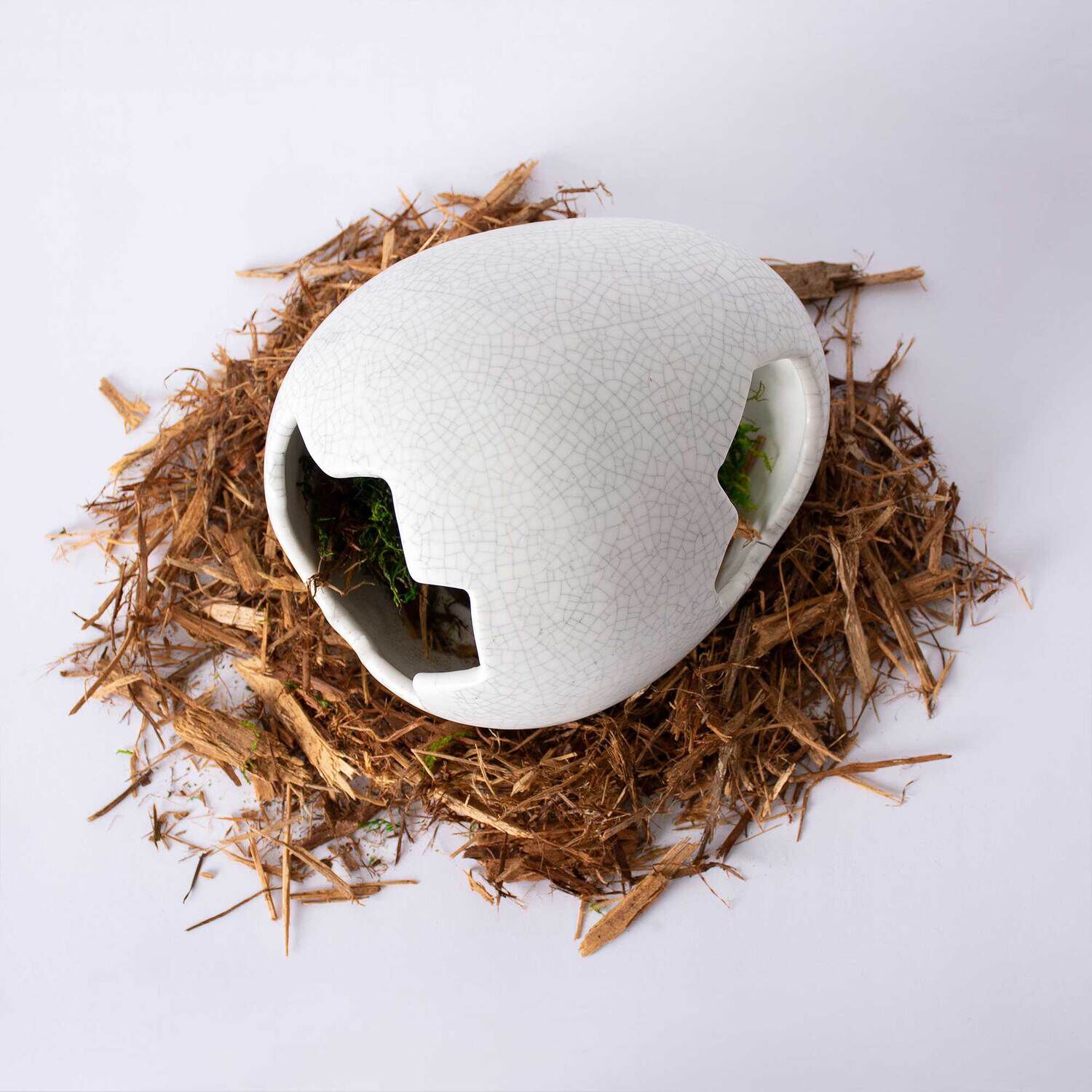 Gal&aacute;pagos Egg Reptile Hideout, Ceramic, Medium, 6 X 5In