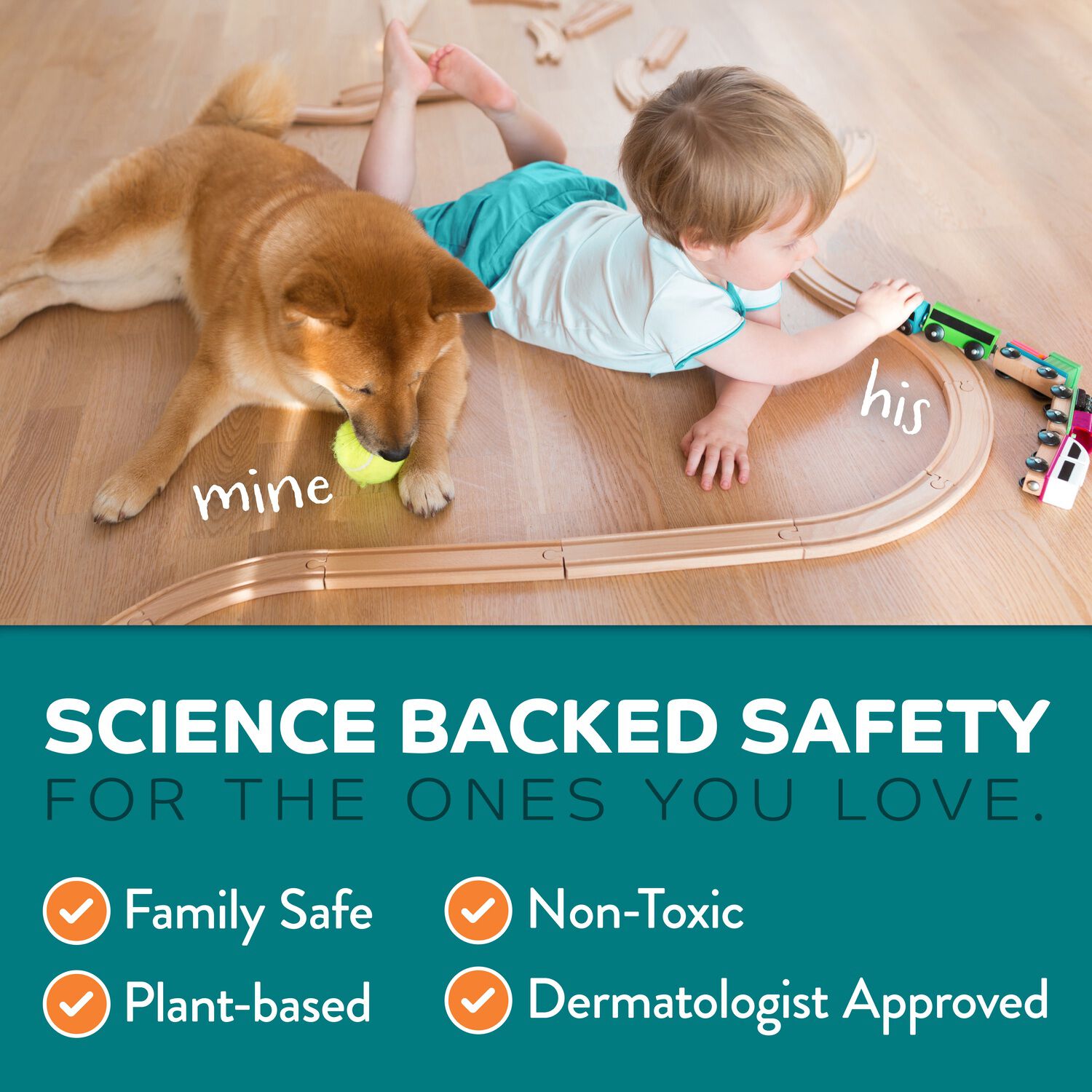 Tropiclean Chew Stop Behavior Aid Home Dog Training Spray, 8Oz
