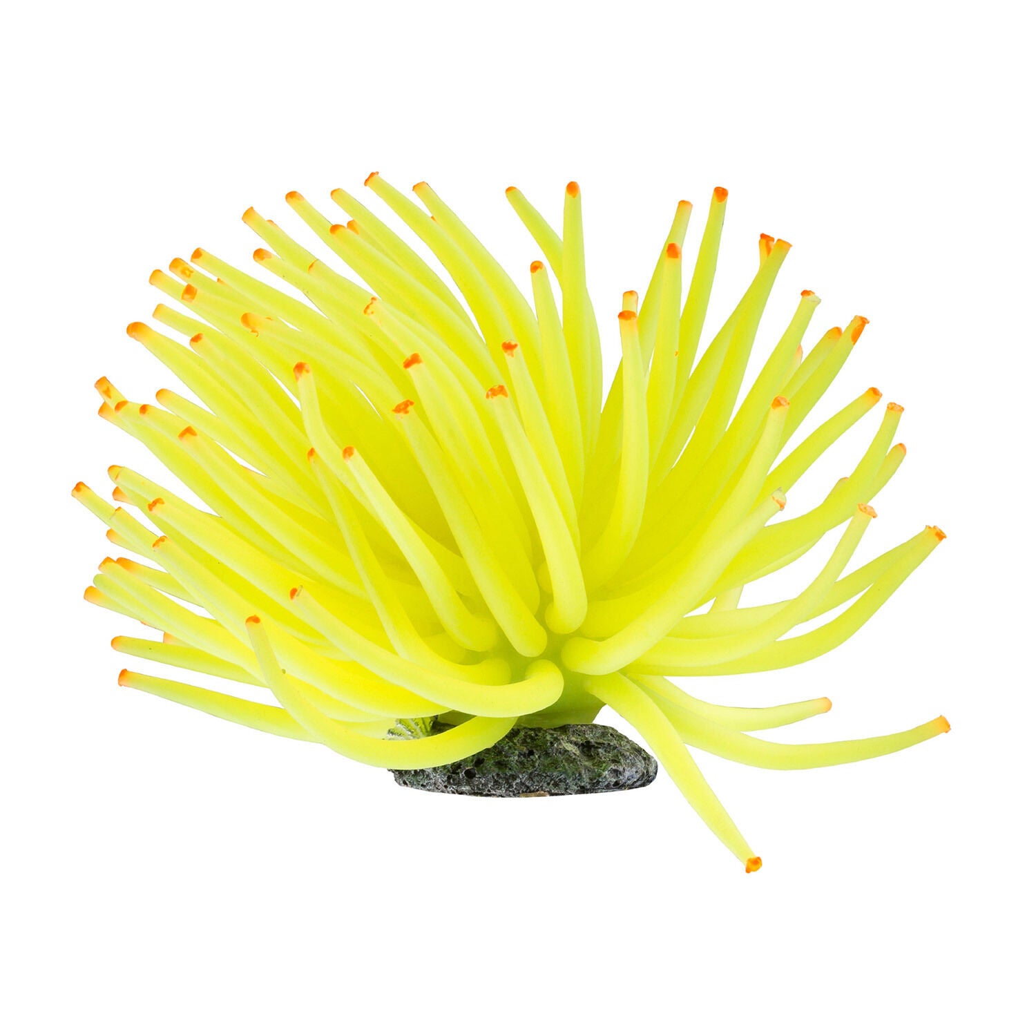 Glofish Anemone Aquarium Ornament Pet Supermarket