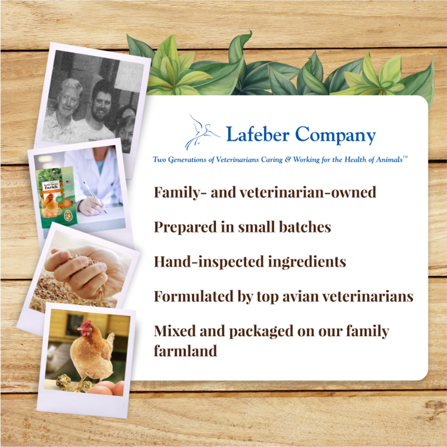 Lafeber Booster Berries Enrich Chicken Supplement, 10Oz