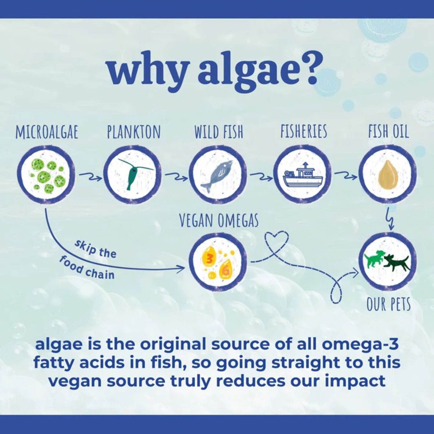Austin & Kat Blanca's Marine Algae Oil, Skin & Coat Vegan Liquid Omega Dog Supplement, 16Oz