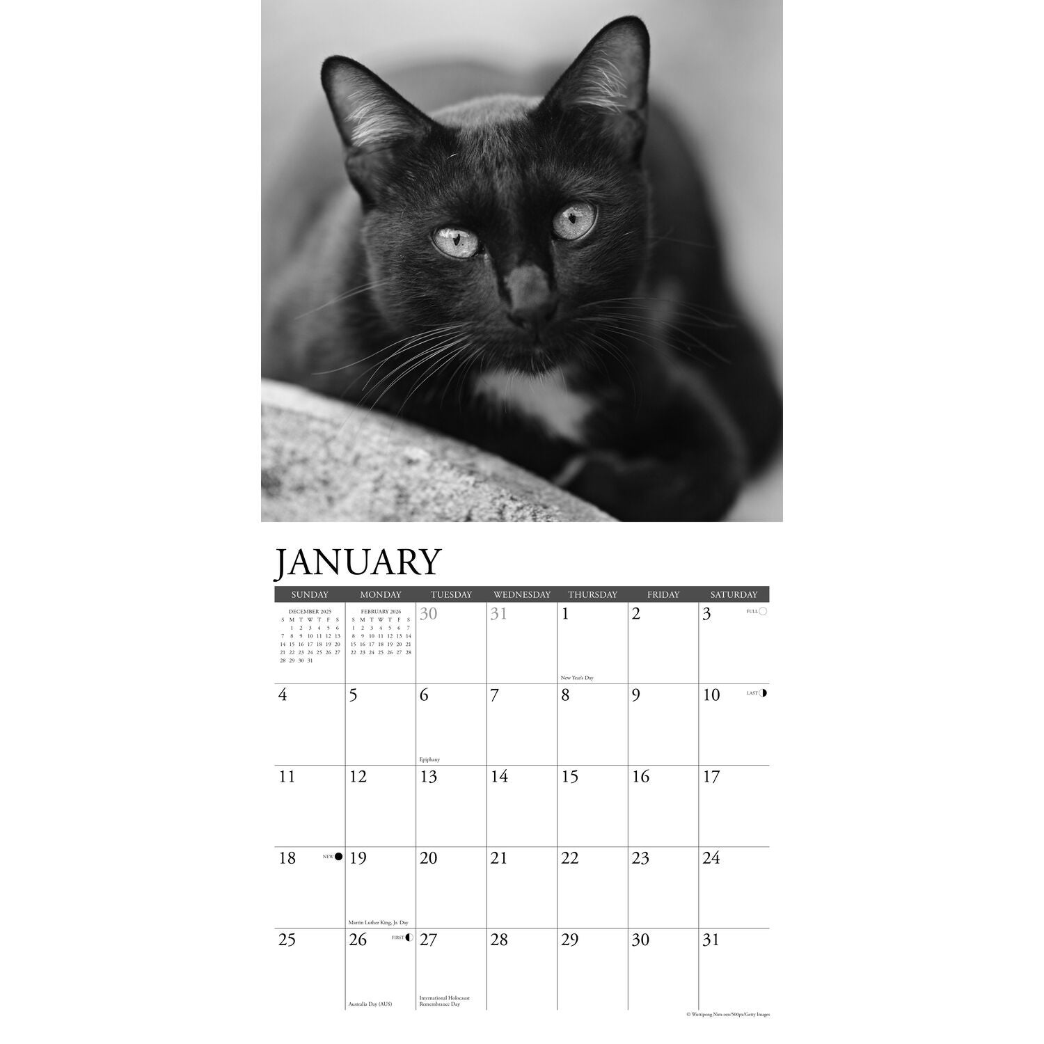 Willow Creek Press 2026 Black Cats Wall Calendar