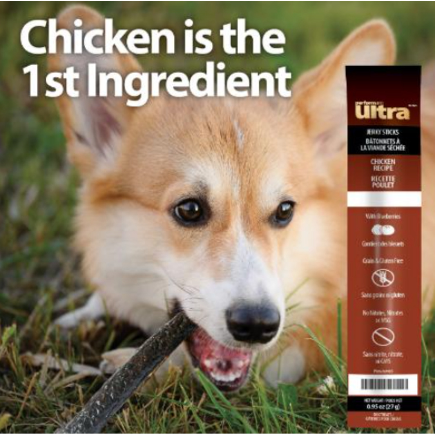 Performatrin Ultra&nbsp;Jerky Sticks Chicken Recipe Dog Treats, 1-Each