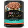 Focus Puppy Classic Chicken & Rice Entree Dog Food thumbnail number 5