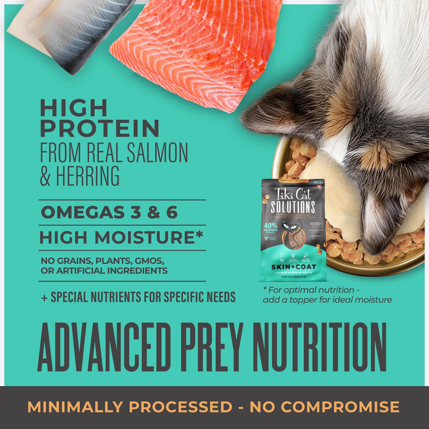 Tiki Cat Solutions Dry Cat Food, Skin & Coat, Salmon & Herring Recipe, 2.8-Lb Bag