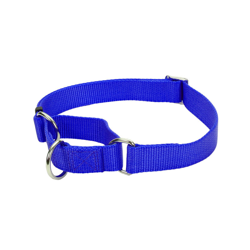 No! Slip Martingale Adjustable Dog Collar - Blue