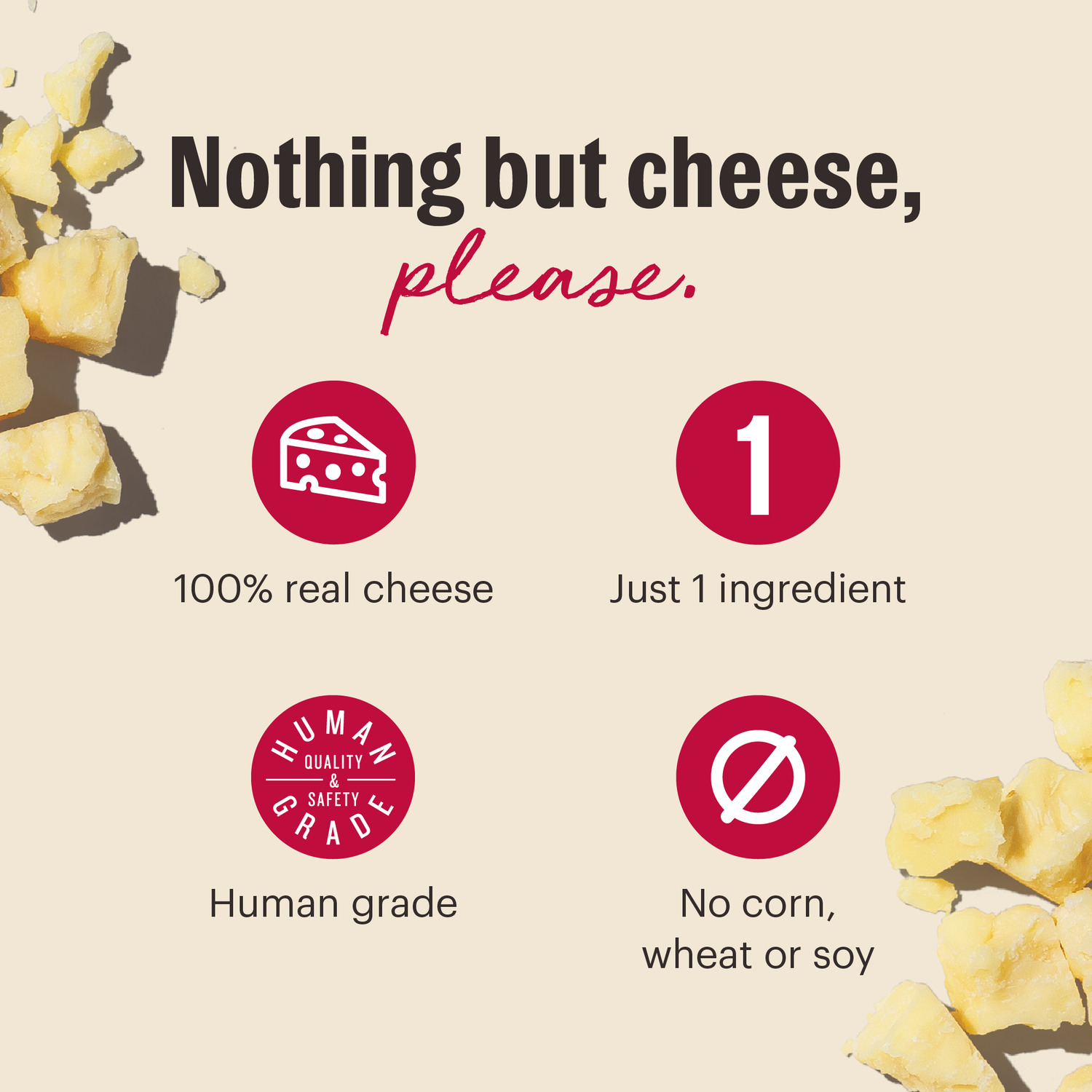 The Honest Kitchen Crunchy Cheese Bites With Gouda Cheese Single-Ingredient Dog Treats, 2-Oz