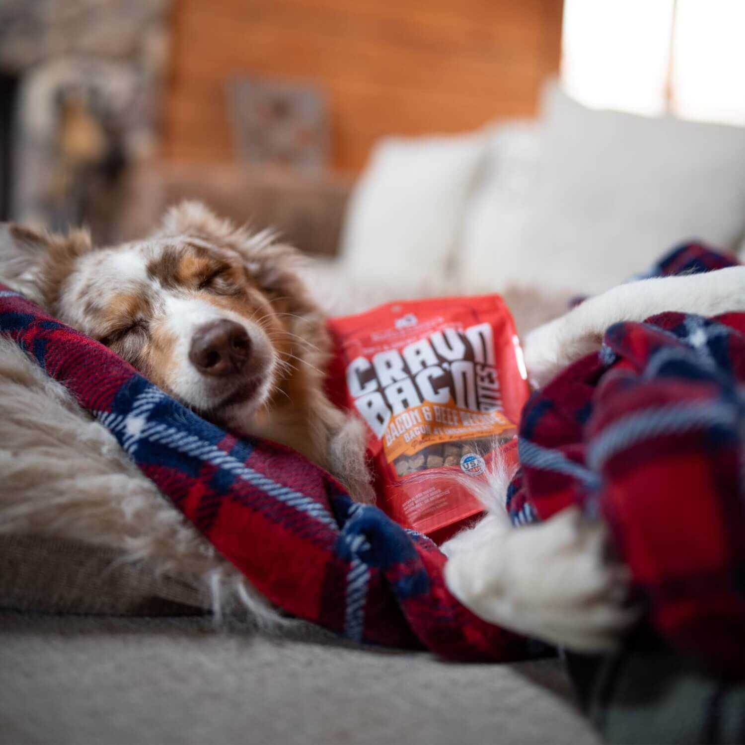 Stella & Chewy's Crav'n Bac'n Bites Bacon & Beef Recipe Dog Treats, 8.25-Oz Bag