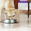 Complete Health Senior Deboned Chicken & Barley Recipe Dog Food thumbnail number 5