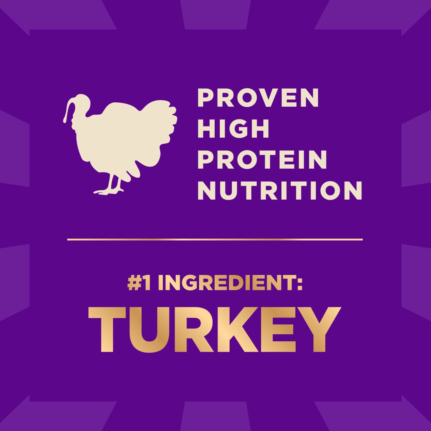 Wellness Core+ Dry Dog Food With Freeze Dried Pieces, Small Breed, Grain Free, High Protein, Natural, Original Turkey & Chicken Recipe, 4-Pound Bag