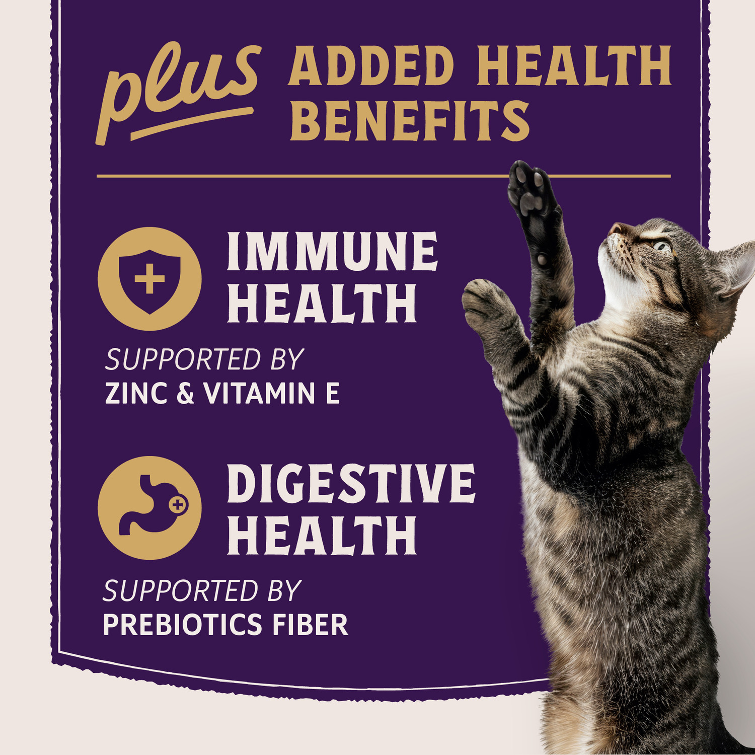 Natural Balance Ultra Protein Plus Wet Cat Food, Immune And Digestive Health Real Chicken With Pumpkin Recipe Puree Topper, 2.4-Oz.
