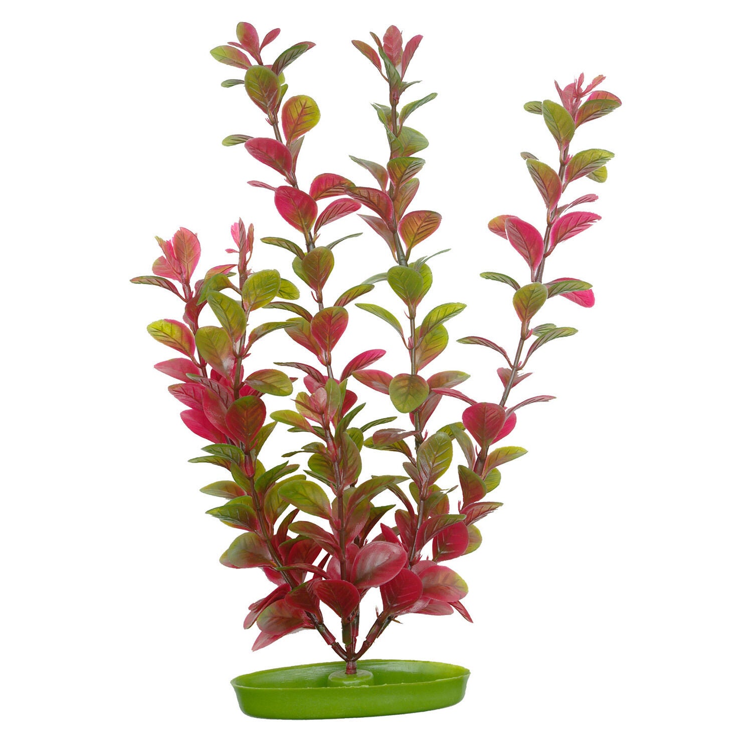Marina Aquascaper Red Ludwigia Aquarium Plant