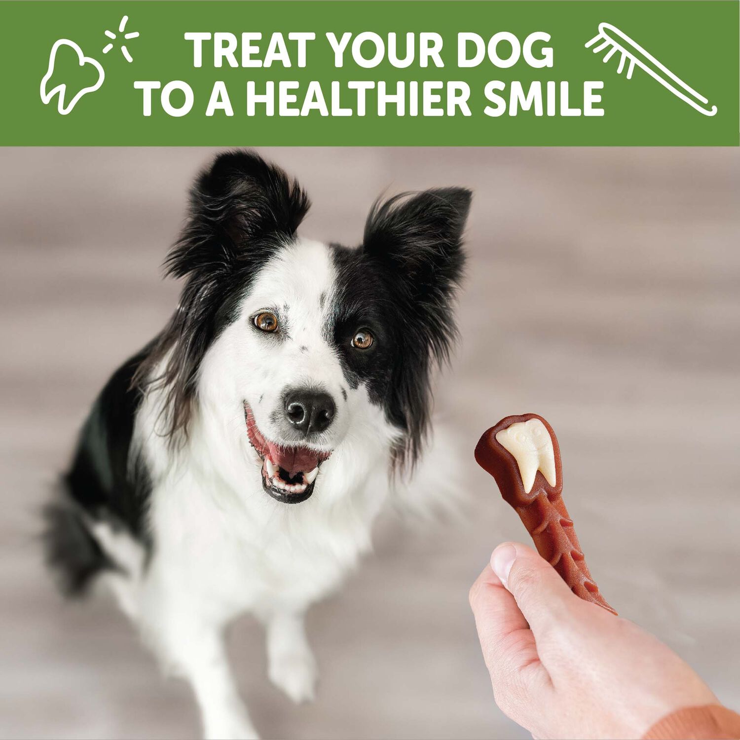 Whimzees Brushzees Natural Grain-Free Dental Dog Treats, Extra Large, 1 Count