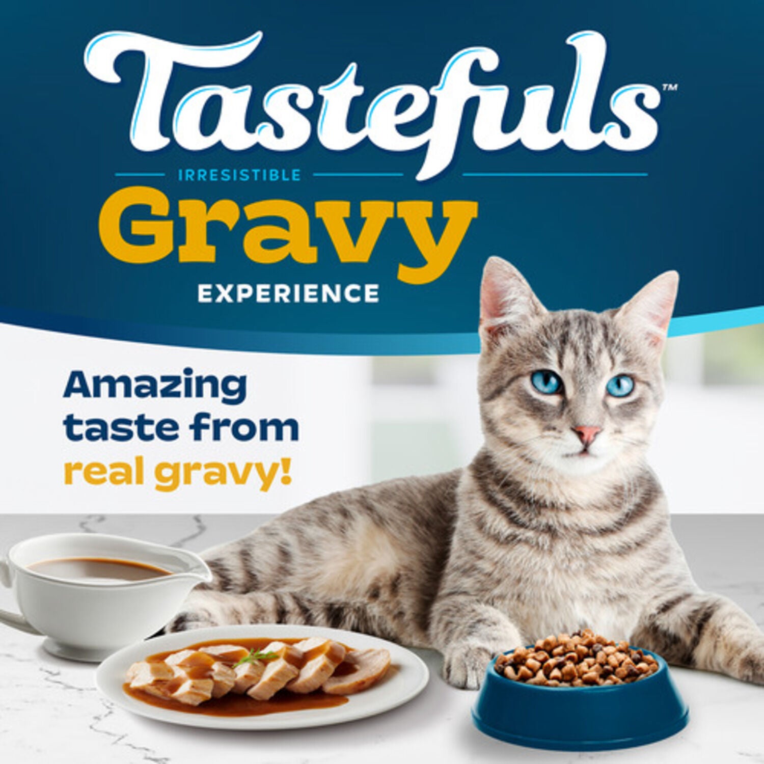 Blue Buffalo Tastefuls Irresistible Gravy Experience Chicken & Brown Rice Recipe Dry Cat Food, 7-Lb Bag