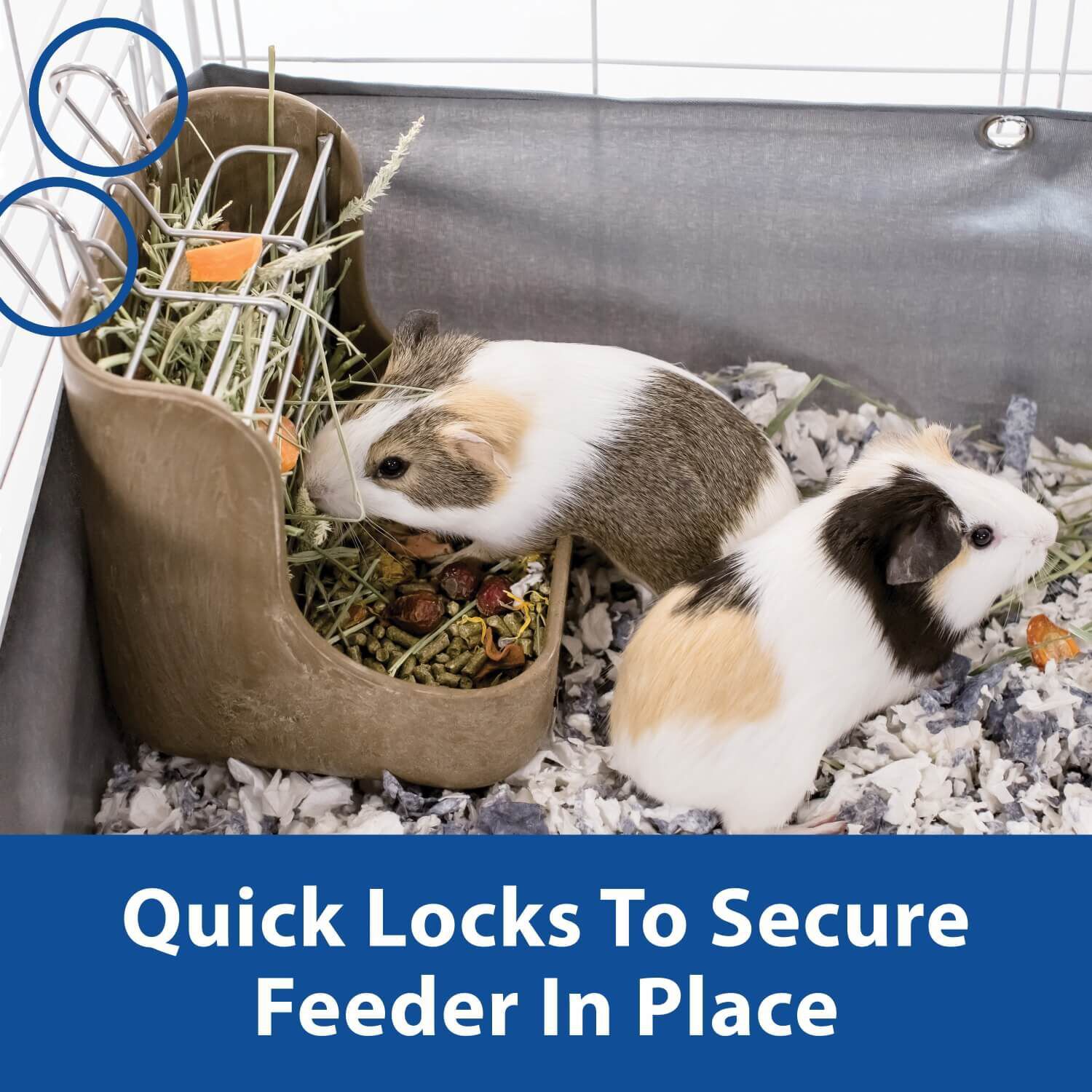 Kaytee Hay-N-Food Small Animal Feeder