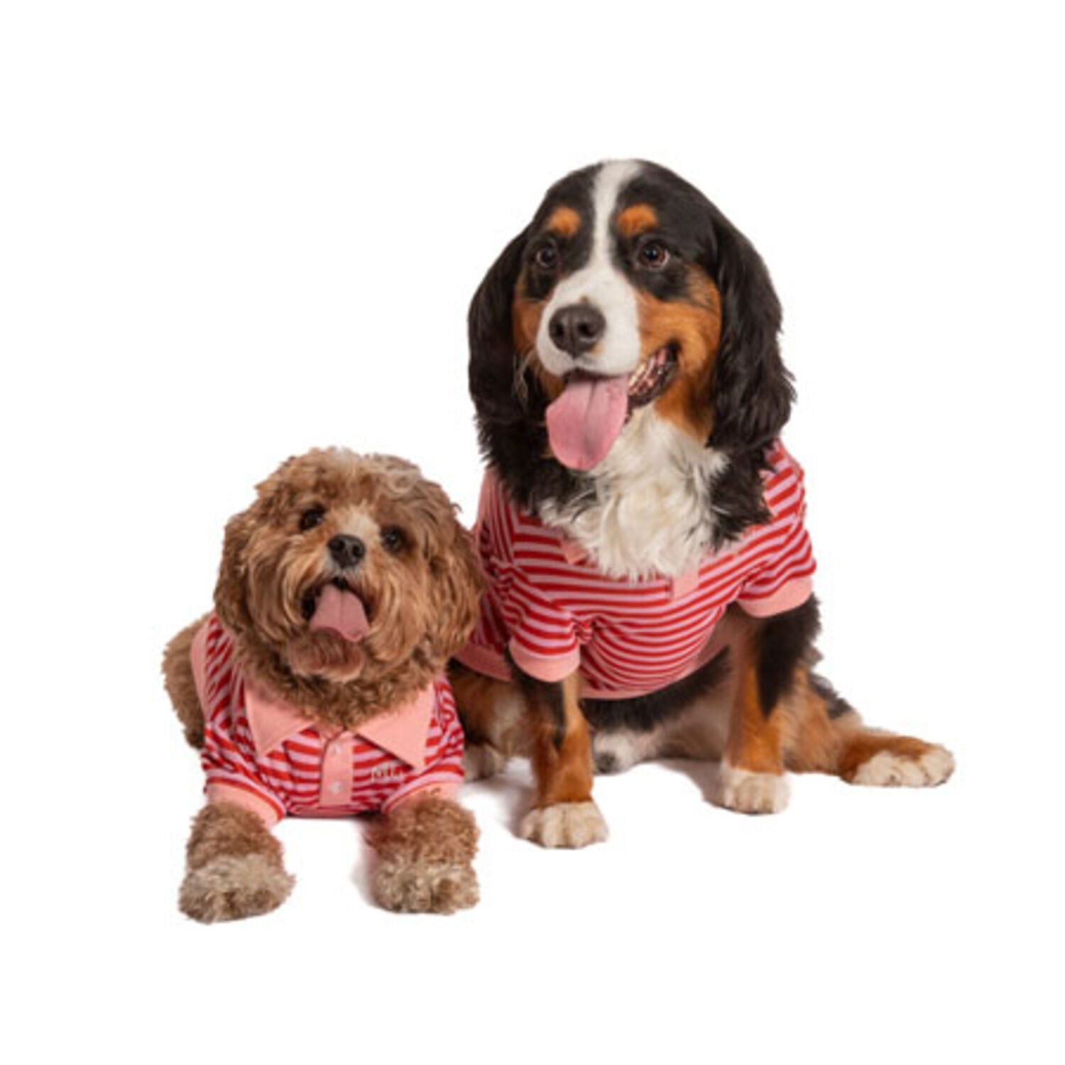 Max's Closet Red & Pink Striped Polo Dog Shirt, Large | Pet
