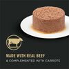 Grain Free Classic Adult Beef & Carrots Entree Cat Food