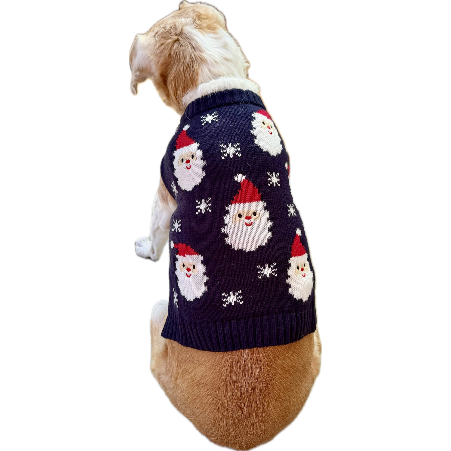 Aristopet Holiday Blue Snowy Santa Knit Dog Sweater, Extra Large