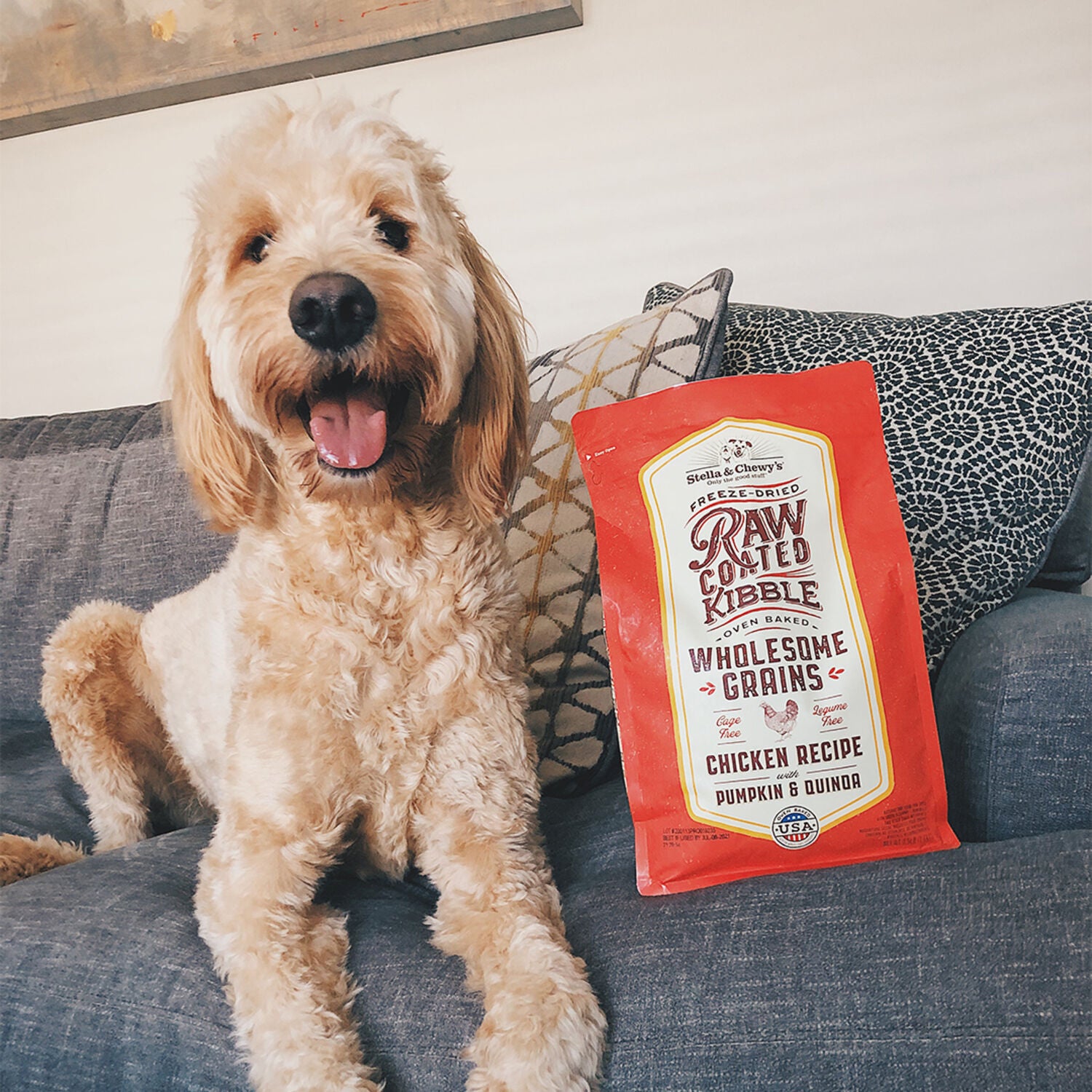 Stella & Chewy's Baked Kibble Dry Dog Food - Raw Coated Wholesome Grains Chicken Recipe, 22-Lb Bag