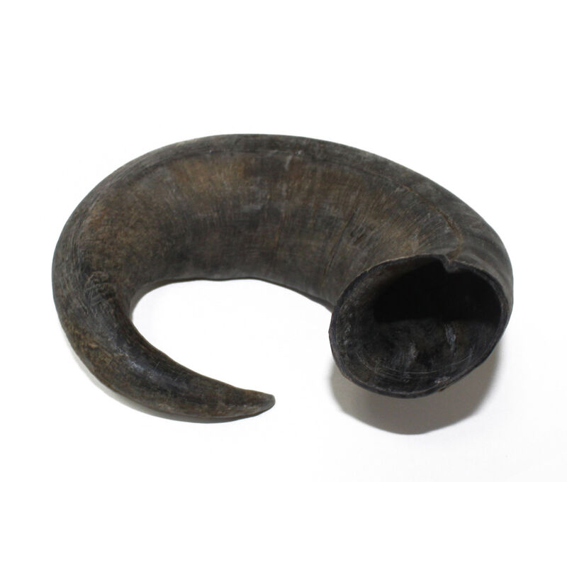 Water Buffalo Bully Horn Dog Treat image number 2
