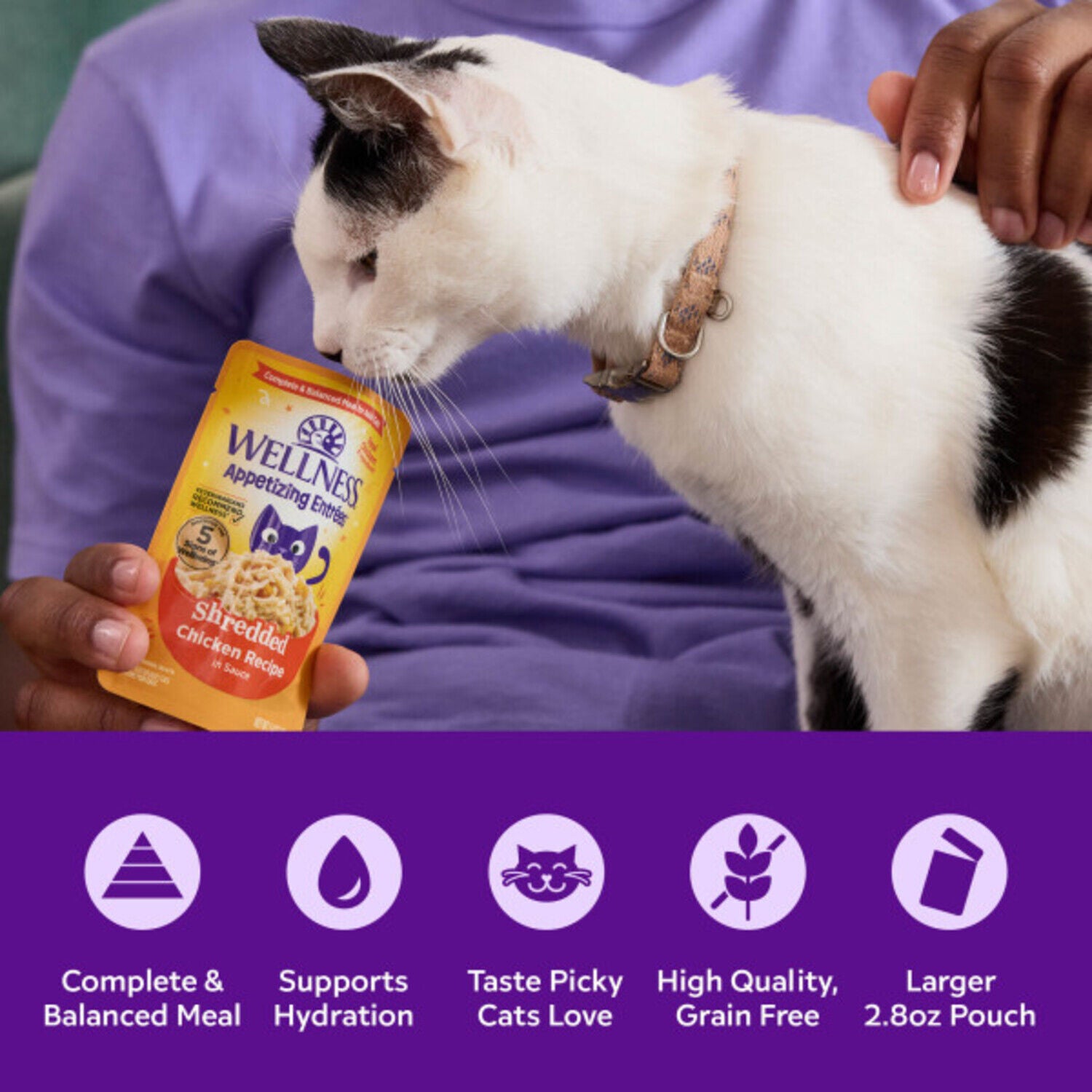 Wellness Appetizing Entrees Flaked Adult Wet Cat Food, Natural, Protein-Rich, Grain-Free Tuna Recipe, 1.4-Oz