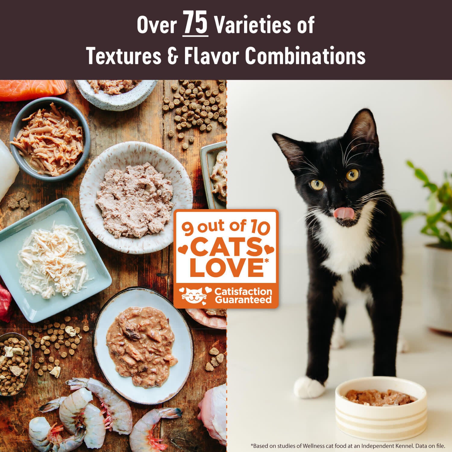 Wellness Core Tiny Tasters Pate Adult Wet Cat Food, Natural, Protein-Rich, Grain Free, 1.75 Ounce Pouch, 12 Pack - Chicken & Beef Recipe