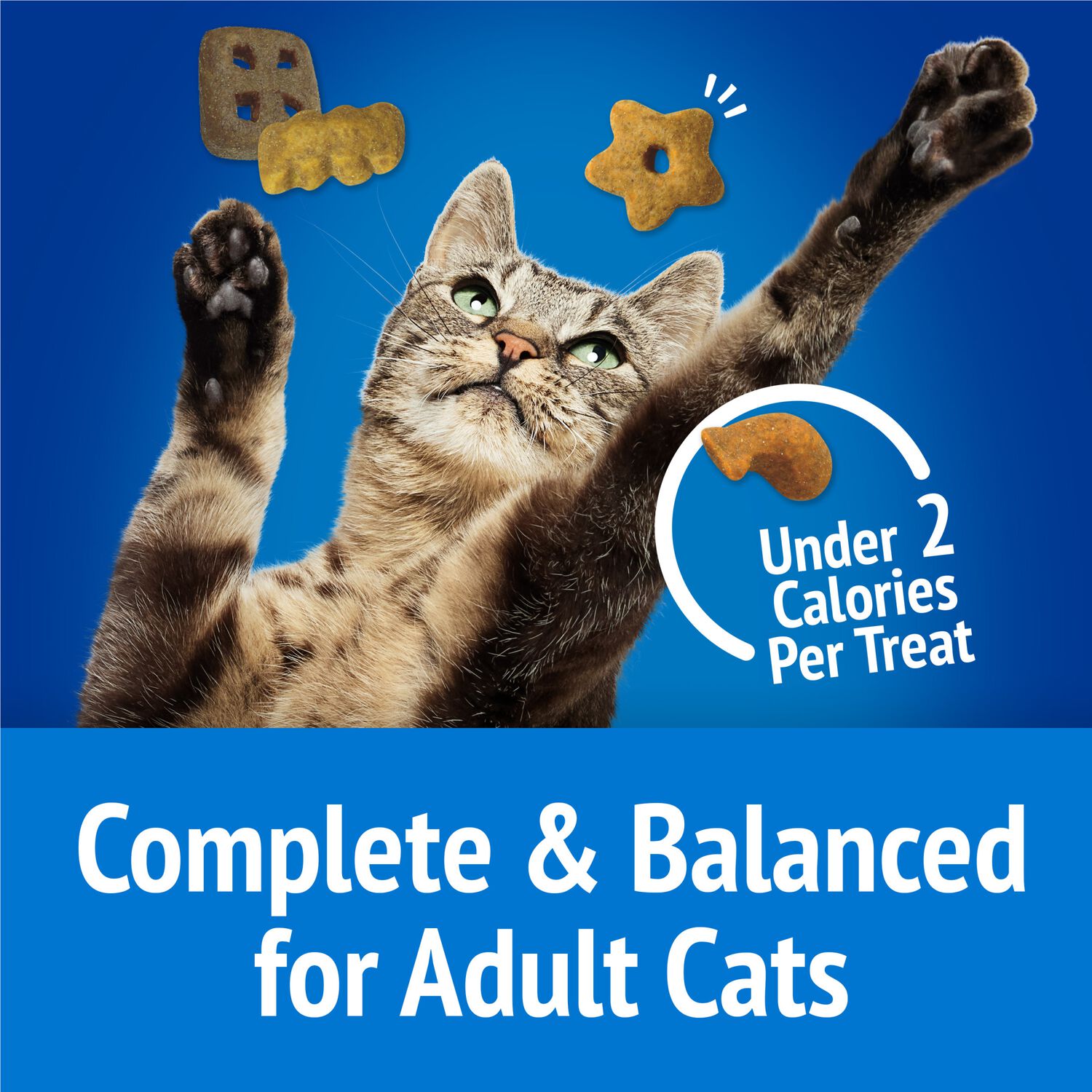 Purina Friskies Party Mix Beachside Crunch With Real Whitefish Crunchy Cat Treats, 30-Oz