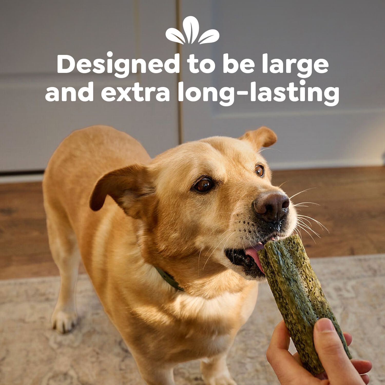 Greenies Deep Clean Original Flavor Regular Size Dental Dog Treats, 5.64 Oz, 2 Count
