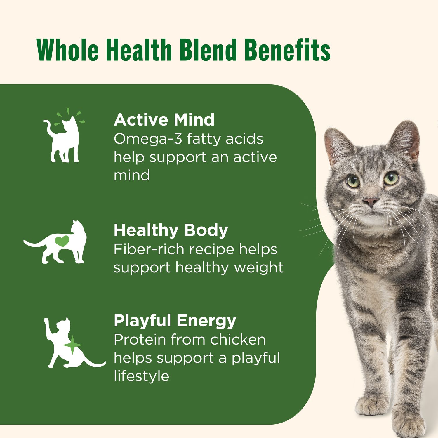 Rachael Ray Nutrish Natural Premium Dry Cat Food, Chicken & Brown Rice Recipe, 6-Lb Bag