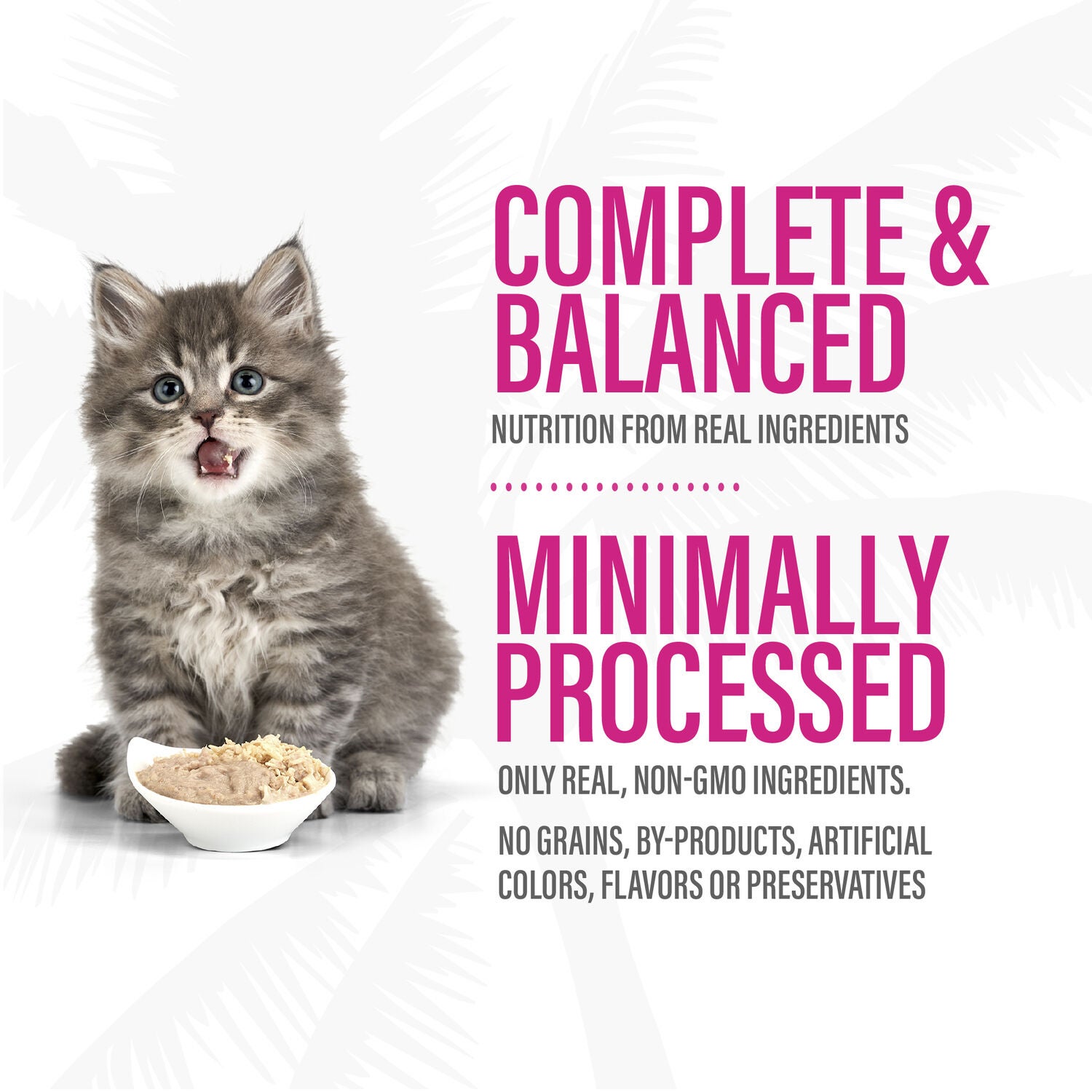 Tiki Cat Baby Pate Wet Cats Food For Kittens, Chicken, Salmon & Chicken Liver, 2.4-Oz Can