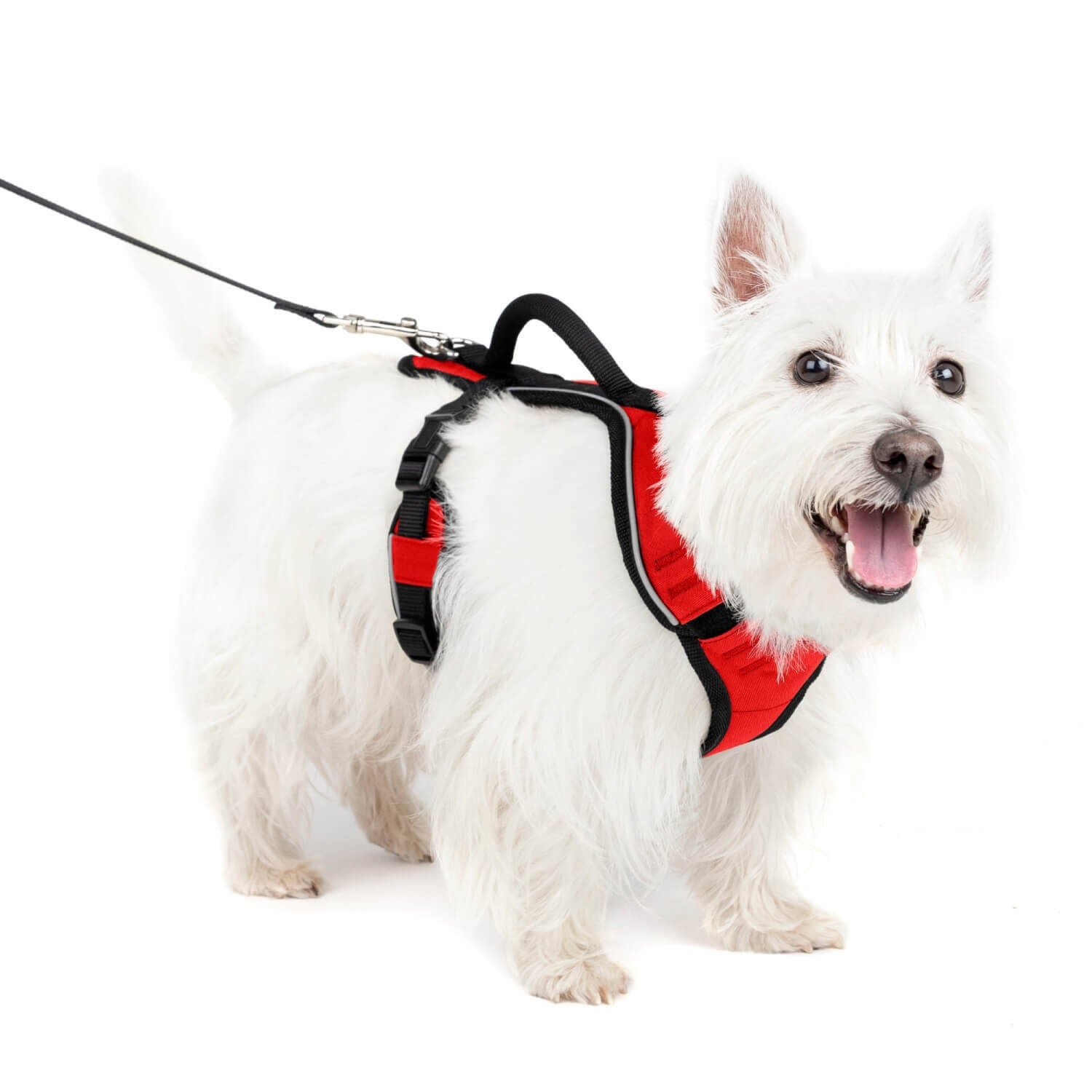 Petsafe Easy Sport Dog Harness, Red