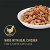 Purina Pro Plan Chicken Entree With Tomatoes In Gravy Cat Food thumbnail number 14