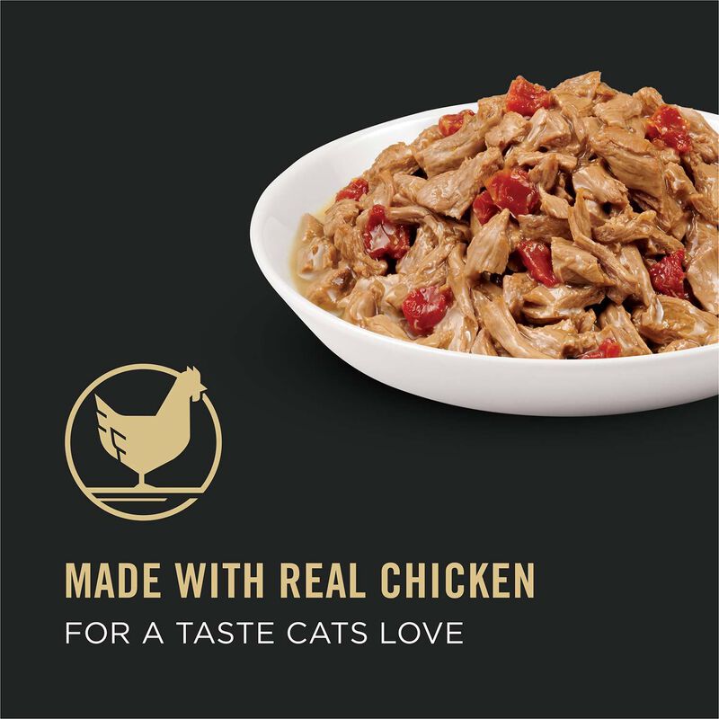 Purina Pro Plan Chicken Entree With Tomatoes In Gravy Cat Food image number 14