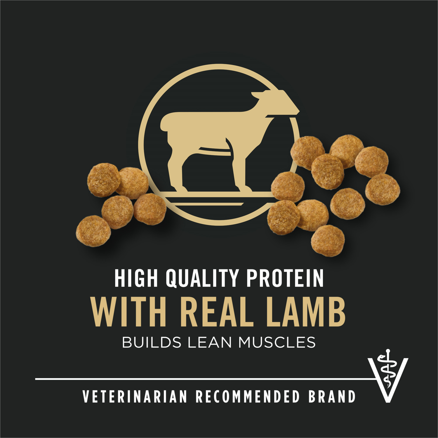 Purina Pro Plan High-Protein Puppy Formula Dry Dog Food, Lamb & Rice, 18Lb