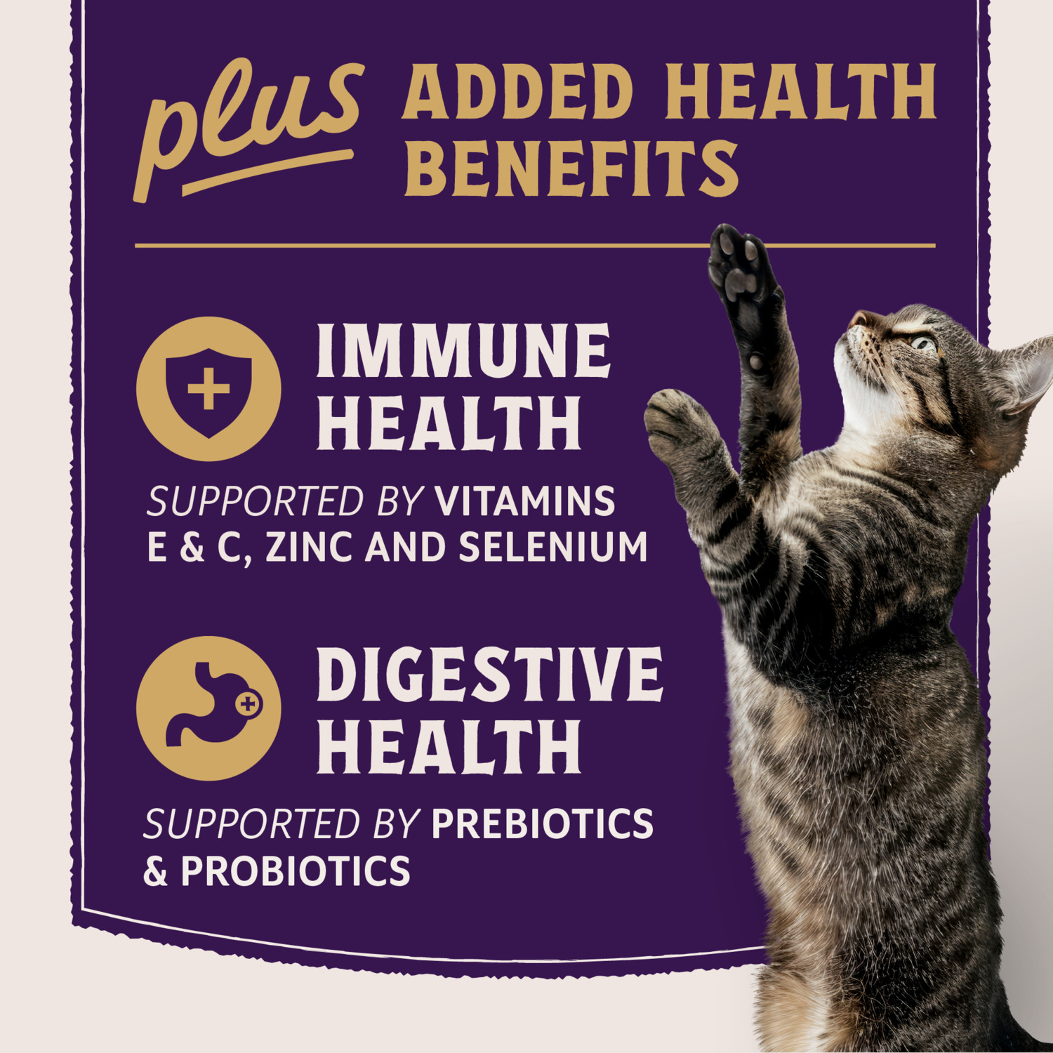 Natural Balance Ultra Protein Plus Dry Cat Food, Immune And Digestive Health Real Chicken & Chicken Meal, 2.5 Lbs.