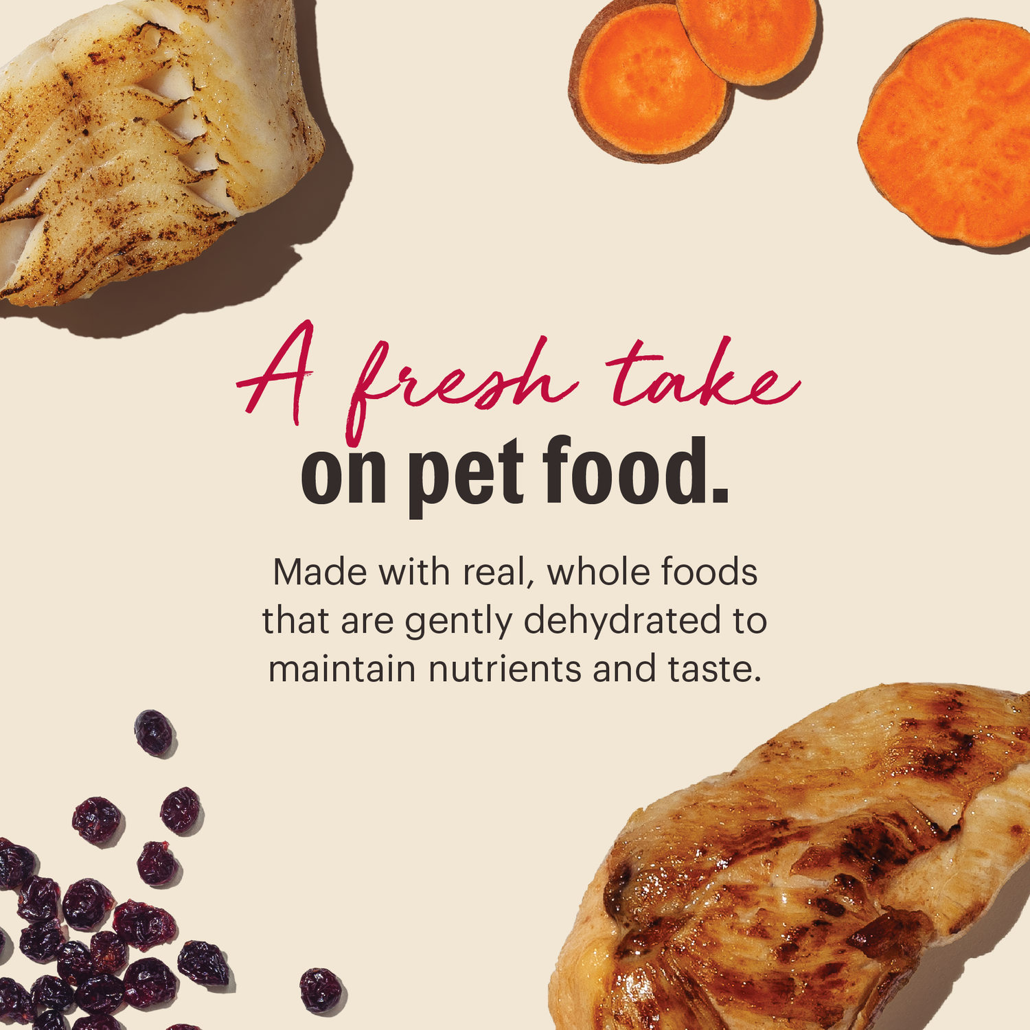 The Honest Kitchen Wholemade Grain Free Chicken & Fish Recipe Dehydrated Cat Food, 4-Lb Bag