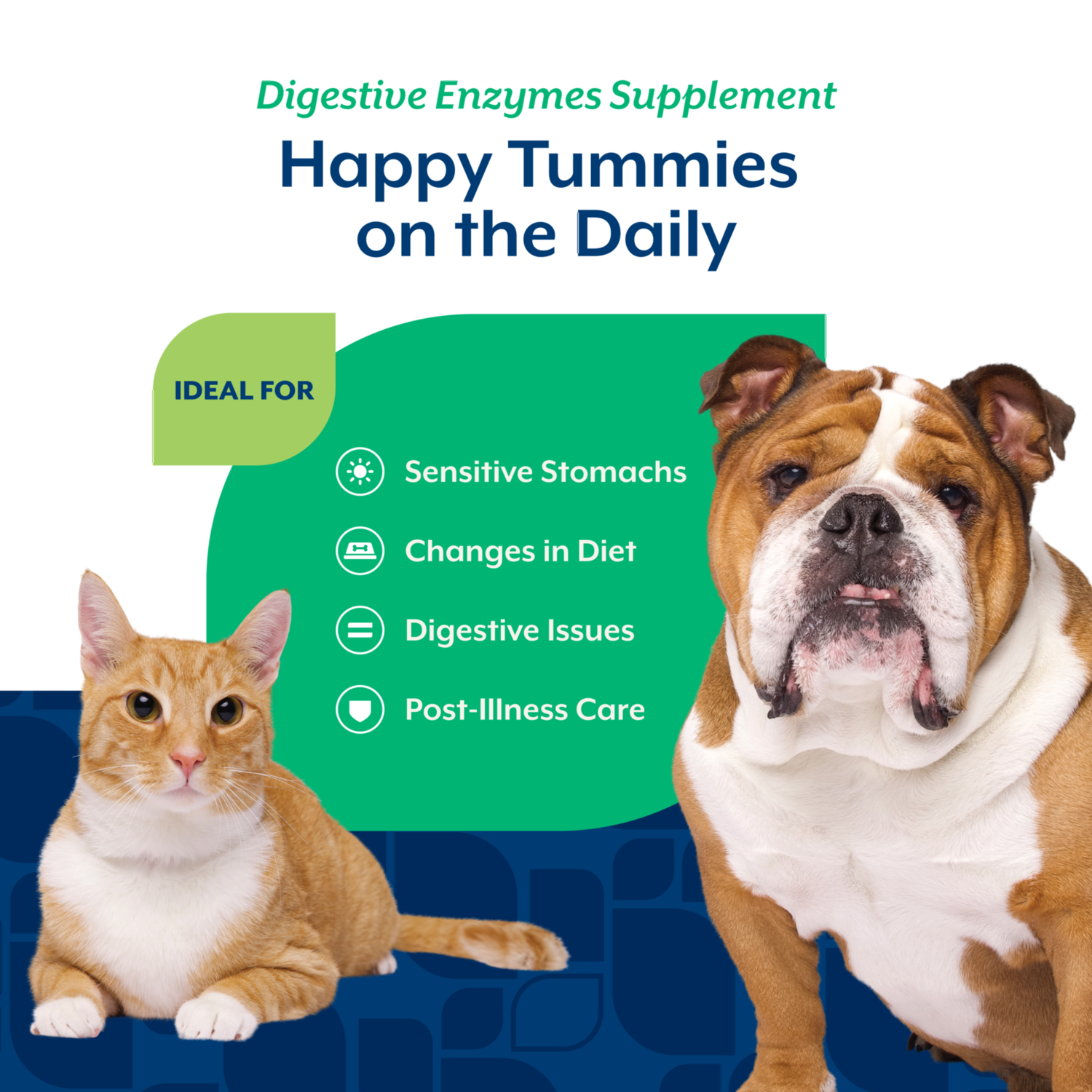 Naturvet Digestive Enzymes Plus Pre & Probiotics Powder Supplement For Dogs & Cats