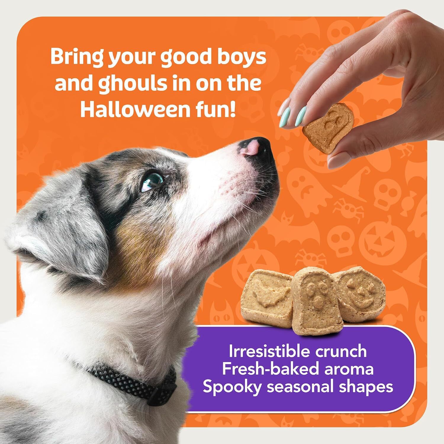 Blue Buffalo Boo Bars Crunchy Halloween Dog Biscuit Treats, Pumpkin & Cinnamon Flavor, 11-Oz Bag