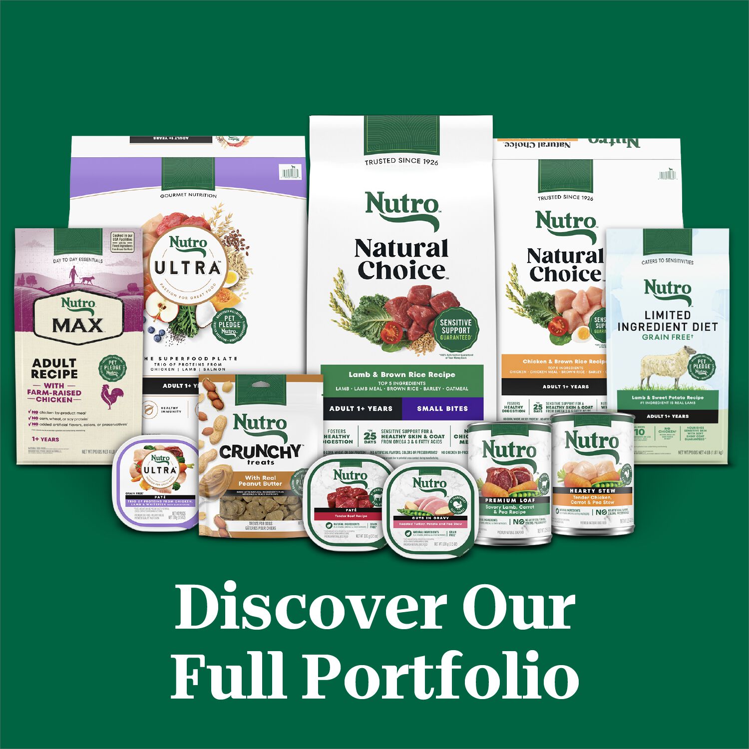 Nutro Natural Choice Adult Small Bites Lamb & Brown Rice Recipe Dry Dog Food, 30-Lb Bag