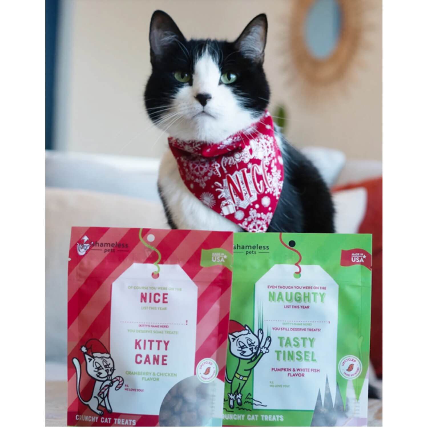 Shameless Pets Nice Kitty Cane Crunchy Cat Treats Cranberry Chicken 4oz Pet Supermarket