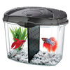 Betta Bowl Desktop Aquarium Kit 0.5 Gal - Black