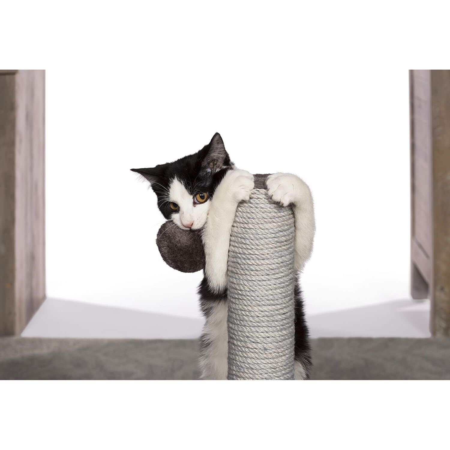 Prevue Pet Products Play & Scratch Toy Cat Scratching Post, 20.5" Brown