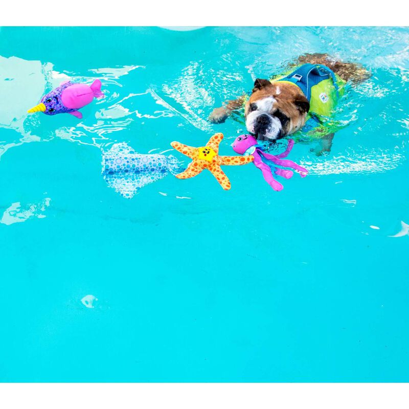 Floatiez Turtle Floating Interactive Dog Toy