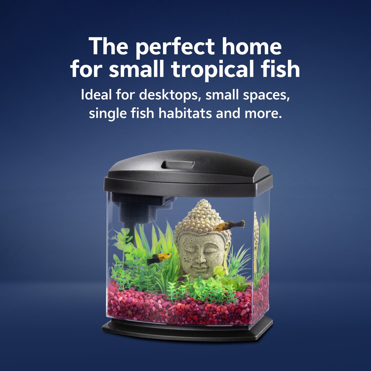 Aqueon Led Minibow Smartclean Desktop Aquarium Kit Fish & Aquatic Habitat, 1-Gallon